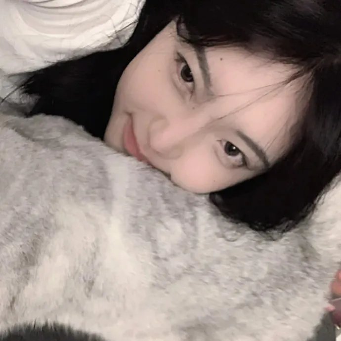 圆盘皇女 十二月夜想曲