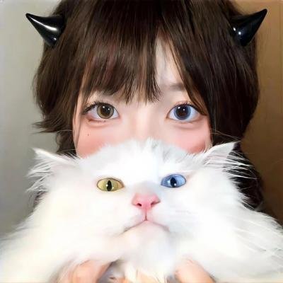 小谢尔顿第六季